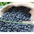 tipos de frijoles negros en venta, 6.5mm, frijol negro